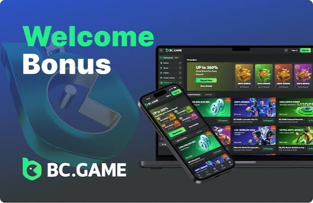 Understanding the BC App Verification Process A Comprehensive Guide 968340052